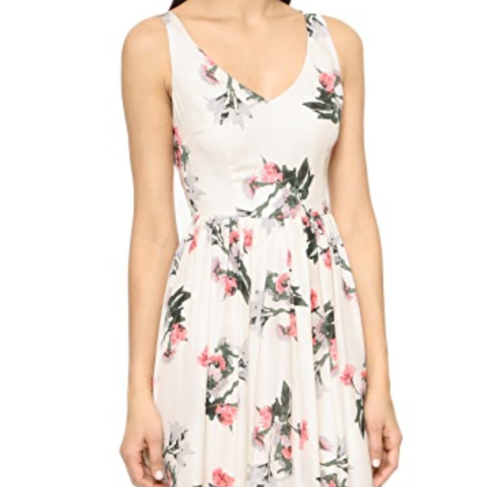 BB Dakota Emeli Rose Garden Midi Dress, Size 4